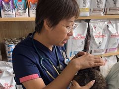 -美联众合爱康动物医院•复杂内科•肿瘤科•牙科•腔镜诊疗中心