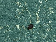 -乐嗨公寓(苏州火车站店)