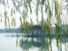 -八大山人梅湖景区