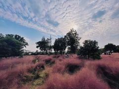 -嘉北郊野公园