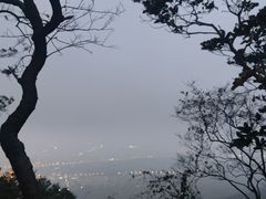 -紫金山山顶公园