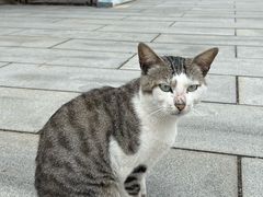 -海坛古城
