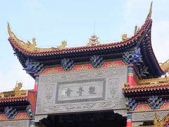 -东莞市大岭山森林公园