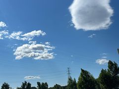 -永定河休闲森林公园