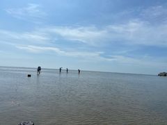 -红树林天天赶海