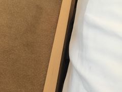 -上海富豪环球东亚酒店