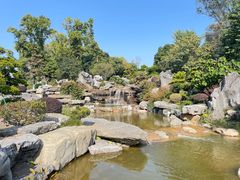 -东莞植物园
