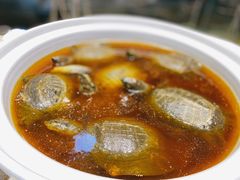 特色卤甲鱼-老家信阳菜(北京路店)