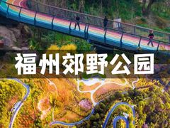 -福道
