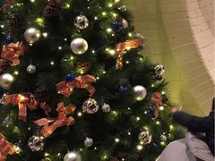 -上海崇明金茂凯悦酒店