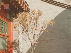 -北京古城老院厉晓麟精致菜