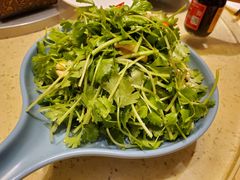 -忠顺斋易州印象烤鸭店(东关新村店)