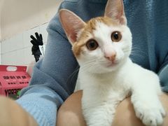 -麦当劳(沙河店)