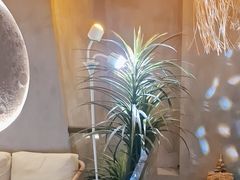 -施奈儿.洗头頭療.按摩SPA.采耳(上梅林店)