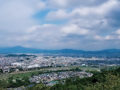 -岚山猴子公园