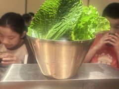 -鹏欣水游城