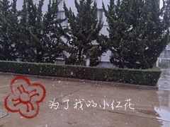 -麦当劳(仙林亚东城得来速店)