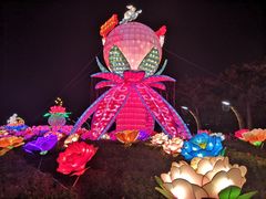 -映月湖公园