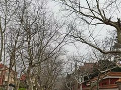 -荒岛书店(黄县路店)