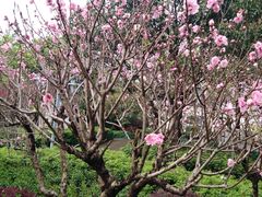 -乌山风景区