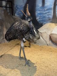 -酷嗒动物文化乐园(cutezoo西溪乐天城店)