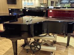 -柏斯音乐艺术中心·钢琴·吉他(上音店)