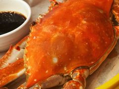 -必点海鲜·海肠捞饭(滨江道一店)