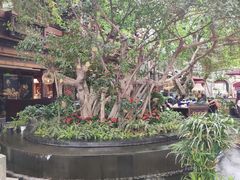 -成都世纪城假日酒店-西楼