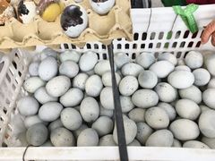 -肖肖酸萝卜鱼火锅(总店)