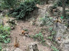 -黔灵山公园