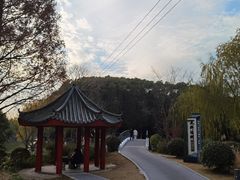-九科绿洲