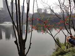 -重庆彩云湖湿地公园