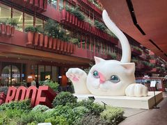 -Blac+Blac(中海环宇荟店)