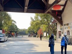 -上海海湾国家森林公园