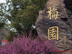 -无锡梅园公园