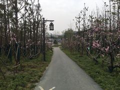 -蜀冈西峰生态公园