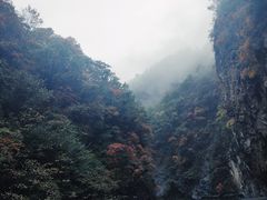 -沣峪口