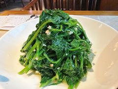 -新渝城·川菜·火锅(区庄店)