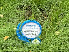 -昆山城市生态森林公园