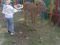 -广东花都香草世界旅游度假区