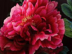 -姚建萍刺绣艺术品牌馆(李公堤)