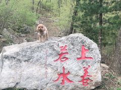 -九鼎铁刹山风景区