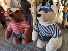 -济州岛泰迪熊博物馆