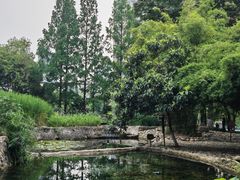 -成都市活水公园