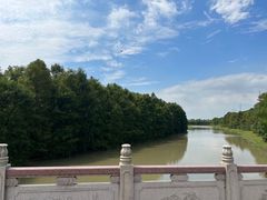 -上海海湾国家森林公园