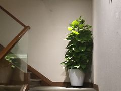 -韵道养生(古美店)