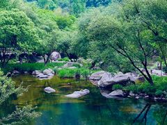 -洛阳白云山景区