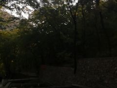-北京上方山国家森林公园