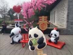 -都江堰中华大熊猫苑