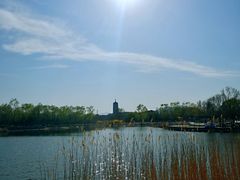 -永定河休闲森林公园